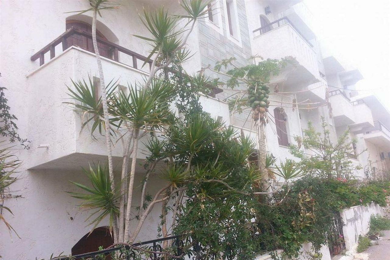 Irene Apartments Malia  Ngoại thất bức ảnh